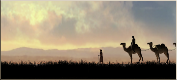 Camel Herd (Rural)