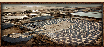 Salt Refiner (Industry)