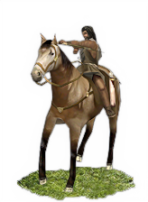 Nabataean Horse Archers info card