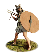 Velites info card