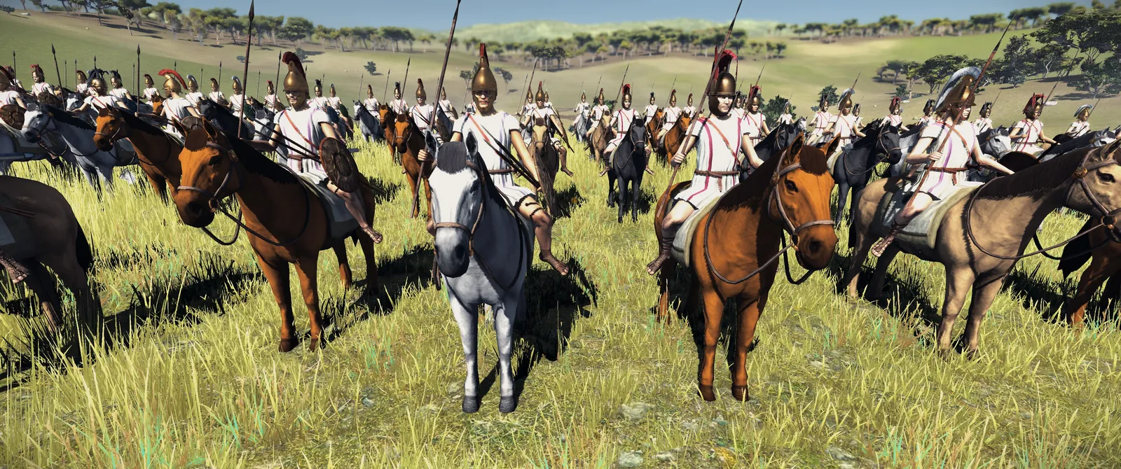 Developer diary image