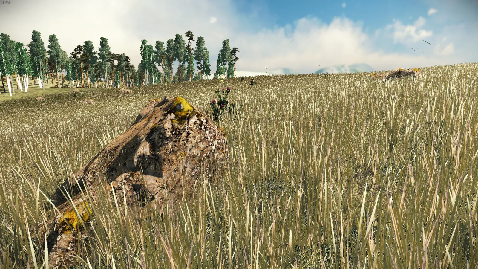 Developer diary image