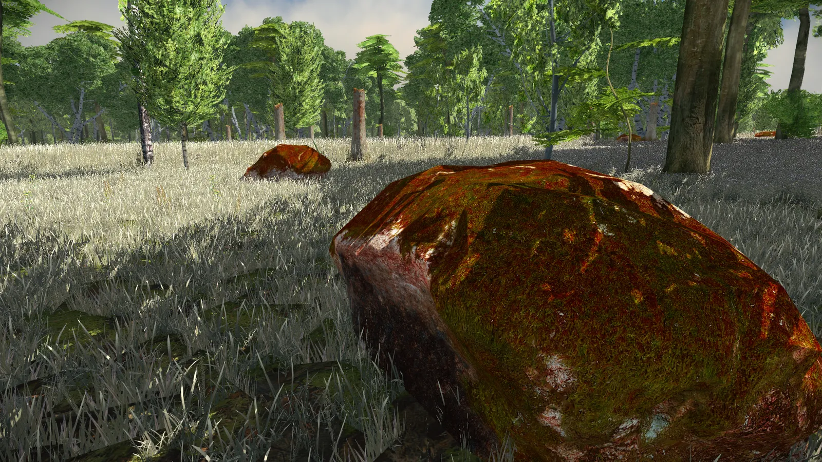 Developer diary image