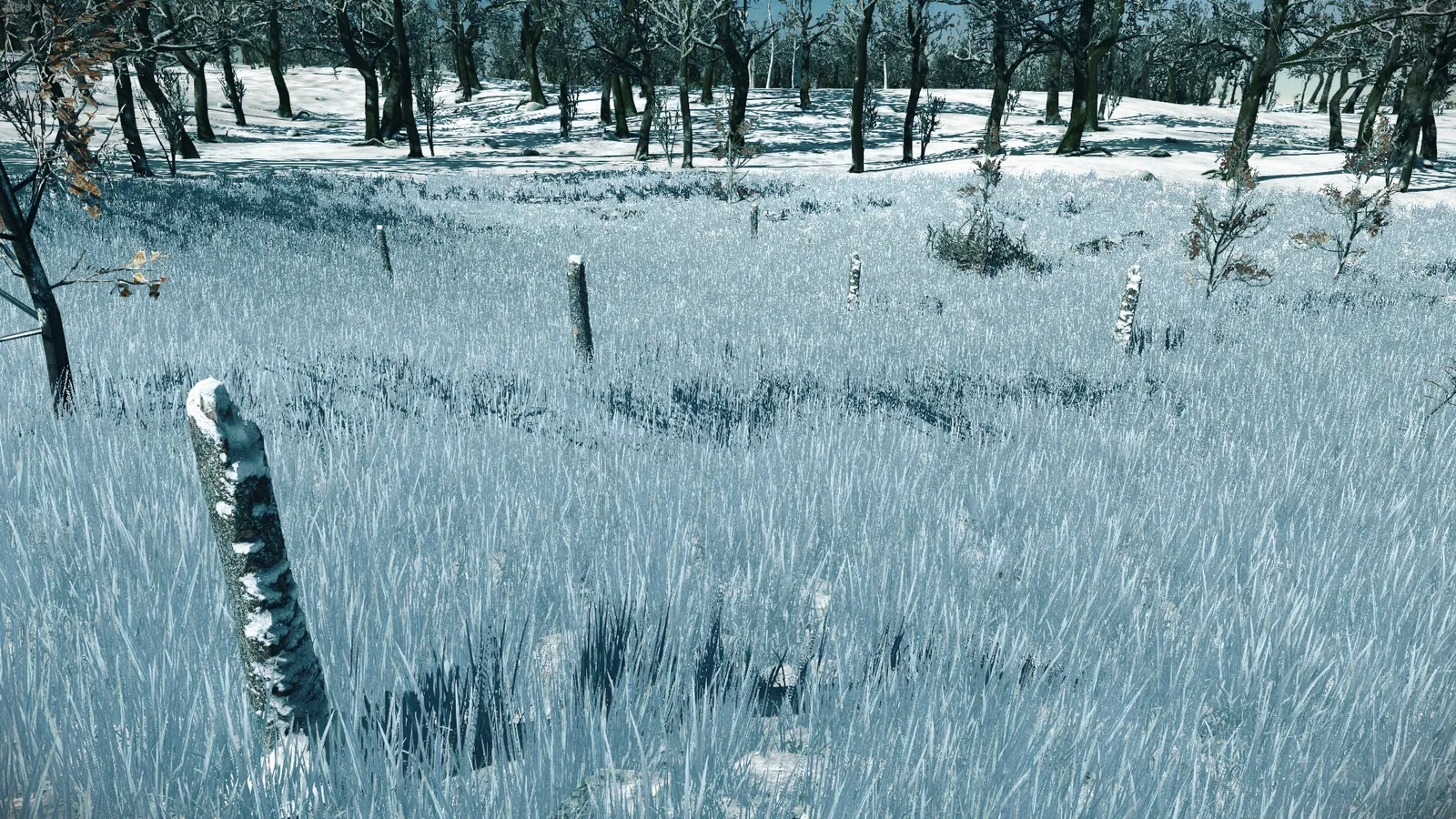 Developer diary image