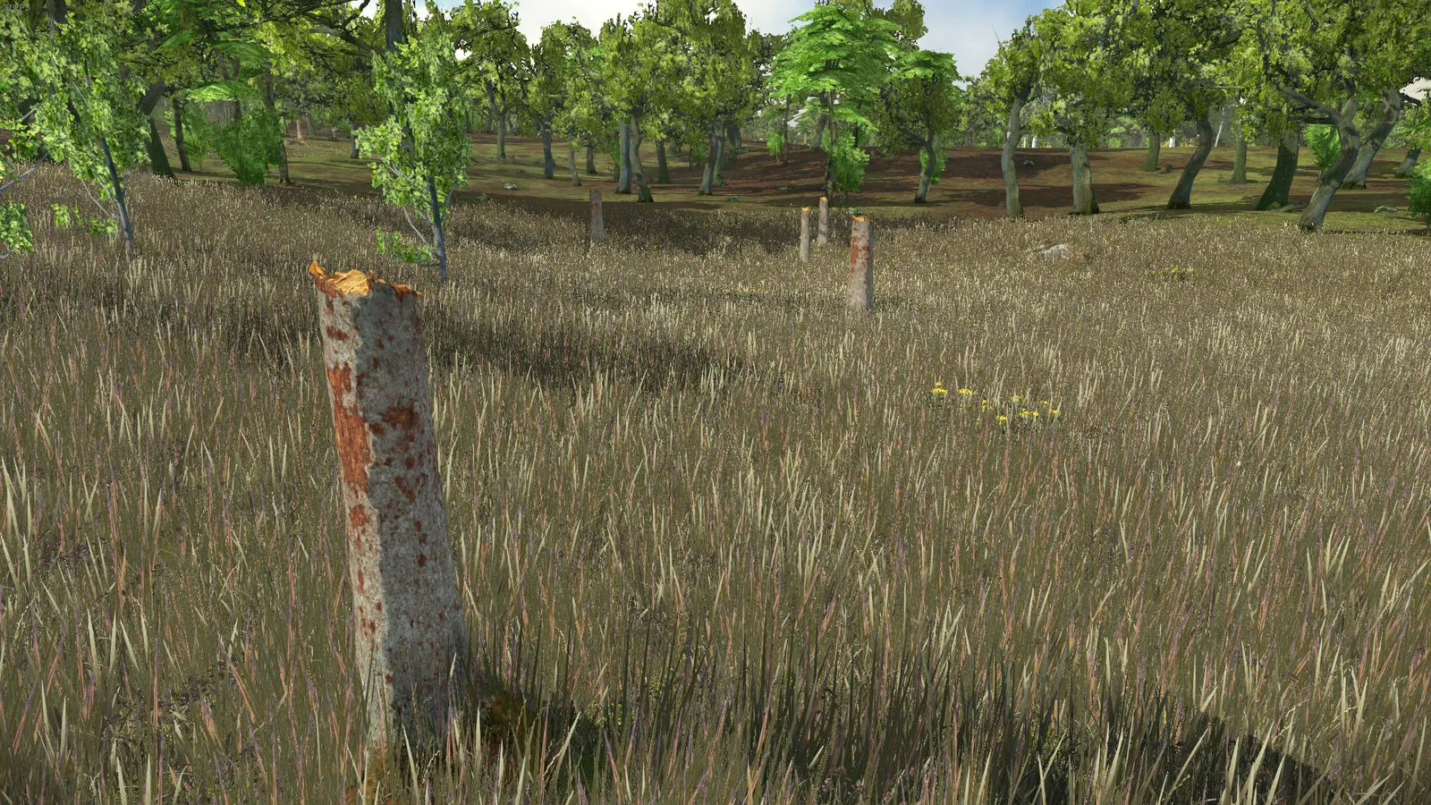 Developer diary image