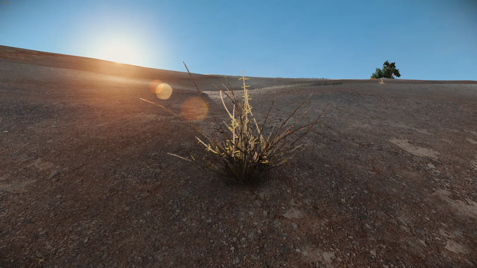 Developer diary image