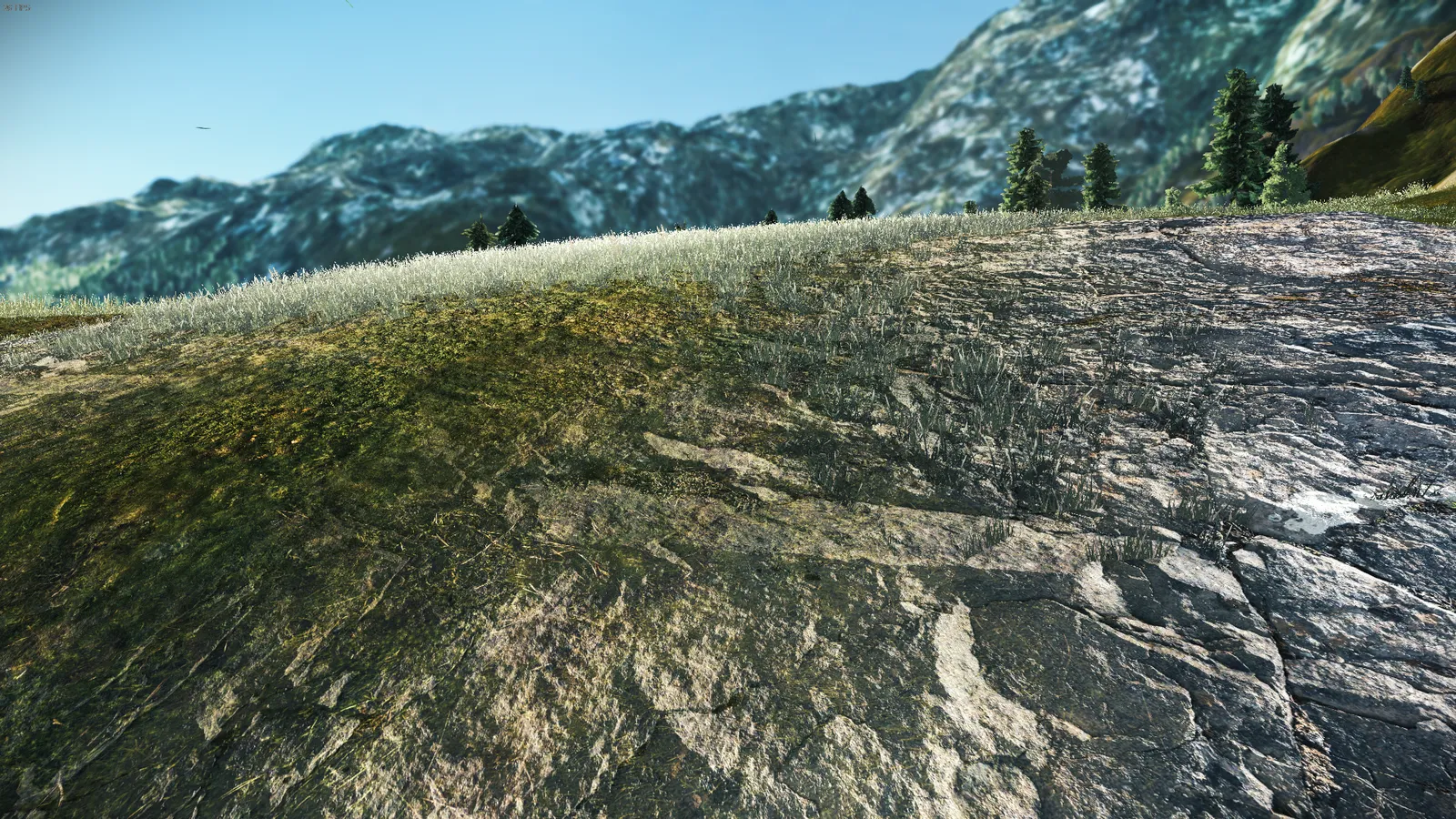 Developer diary image