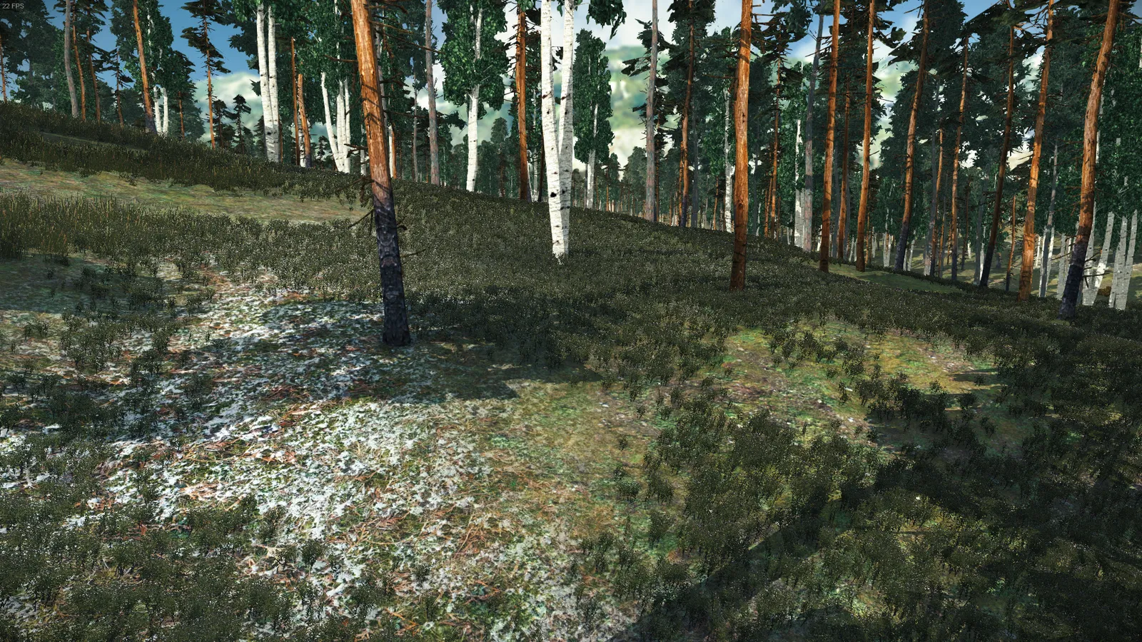 Developer diary image