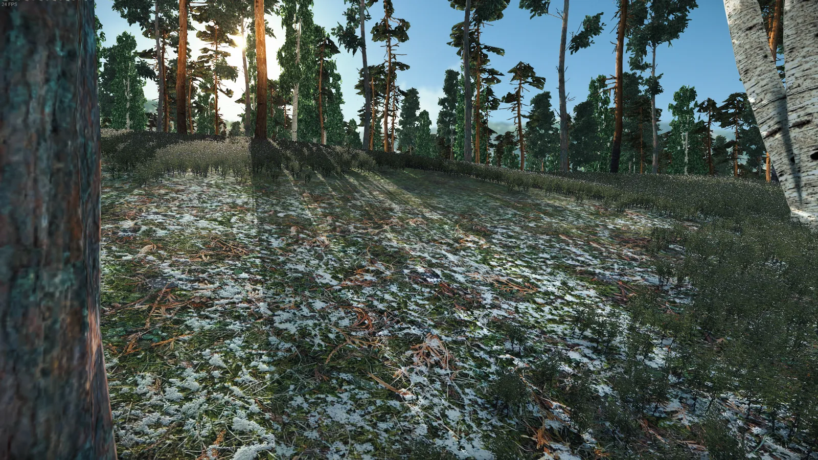 Developer diary image